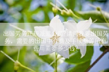出国劳务正规派遣公司?请问我要出国劳务，需要的出国中介费及手续费等所有费用需要多少钱?