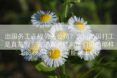出国务工正规劳务公司？请问出国打工是真是假？去了真的能向他们说的那样工资很高吗？工资能拿上吗？