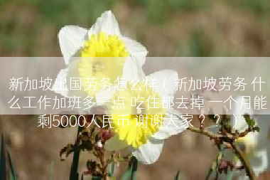 新加坡出国劳务怎么样（新加坡劳务 什么工作加班多一点 吃住都去掉 一个月能剩5000人民币 谢谢大家 ？？）