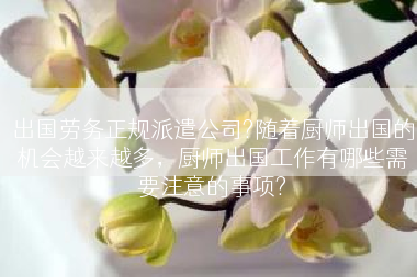 出国劳务正规派遣公司?随着厨师出国的机会越来越多，厨师出国工作有哪些需要注意的事项?