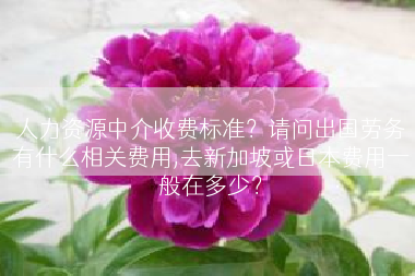 人力资源中介收费标准？请问出国劳务有什么相关费用,去新加坡或日本费用一般在多少？