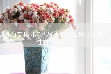 珠海高校排名一览表（珠海哪几家信的过的中介公司）