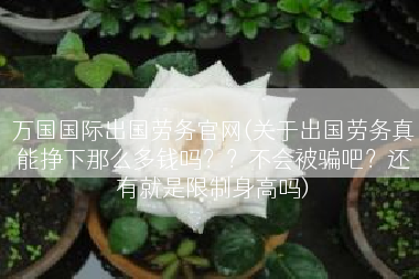 万国国际出国劳务官网(关于出国劳务真能挣下那么多钱吗？？不会被骗吧？还有就是限制身高吗)