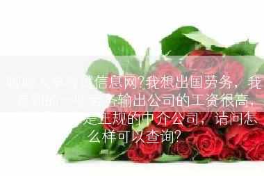聊城人事考试信息网?我想出国劳务，我看到的一些劳务输出公司的工资很高，不知道是不是正规的中介公司，请问怎么样可以查询?