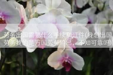劳务出国需要什么手续和证件(我想出国劳务找的是万国劳务输出，不知可靠吗)