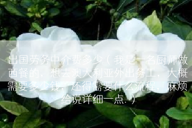 出国劳务中介费多少（我是一名厨师做西餐的，想去澳大利亚外出务工，大概需要多少钱，还得需要什么流程，麻烦给说详细一点.）