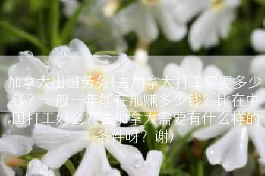 加拿大出国劳务(去加拿大打工需要多少钱？一般一年能在那赚多少钱？比在中国打工好么？去加拿大需要有什么样的条件呀？谢)