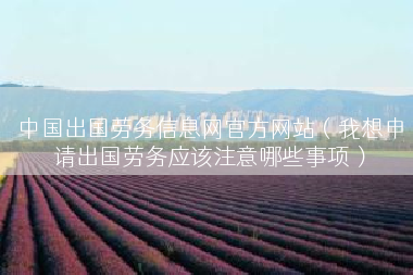 中国出国劳务信息网官方网站（我想申请出国劳务应该注意哪些事项）
