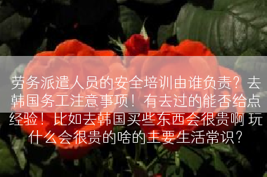 劳务派遣人员的安全培训由谁负责？去韩国务工注意事项！有去过的能否给点经验！比如去韩国买些东西会很贵啊 玩什么会很贵的啥的主要生活常识？