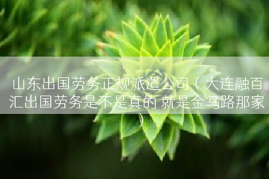山东出国劳务正规派遣公司（大连融百汇出国劳务是不是真的 就是金马路那家）