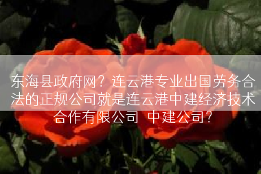 东海县政府网？连云港专业出国劳务合法的正规公司就是连云港中建经济技术合作有限公司－中建公司？