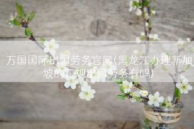 万国国际出国劳务官网(黑龙江办理新加坡的正规出国劳务有吗)
