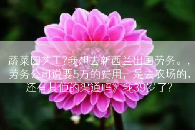 蔬菜园艺工?我想去新西兰出国劳务。，劳务公司说要5万的费用，是去农场的，还有其他的渠道吗》我39岁了?