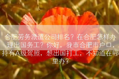 合肥劳务派遣公司排名？在合肥怎样办理出国务工？你好，我市合肥市户口，持有A级驾照，想出国打工，不知道在哪里办？