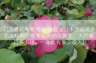 日升青鸾免费阅读(现在去日本出国劳务怎么样啊？有去过的给点意见，大约费用多少钱，一年能有多少收入)