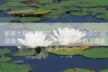 新西兰移民最新政策工资一年多少？出国新西兰好找工作不？刚出去的工资能多少？