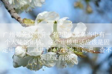 广州劳务公司前十名?出国劳务当中有一个大使馆审核，这个审核电话应该是固定电话吧，当地114应该查询到吧，查不到就是假的?