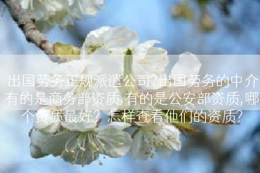 出国劳务正规派遣公司?出国劳务的中介有的是商务部资质,有的是公安部资质,哪个资质最好？怎样查看他们的资质?
