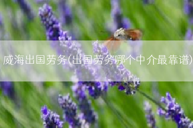 威海出国劳务(出国劳务哪个中介最靠谱)