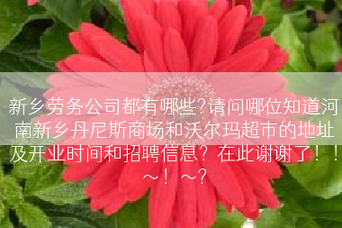 新乡劳务公司都有哪些?请问哪位知道河南新乡丹尼斯商场和沃尔玛超市的地址及开业时间和招聘信息？在此谢谢了！！～！～?