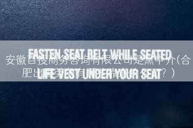 安徽百搜商务咨询有限公司是黑中介(合肥出国劳务有哪些靠谱的公司？)