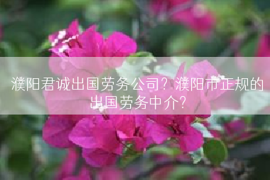 濮阳君诚出国劳务公司？濮阳市正规的出国劳务中介？
