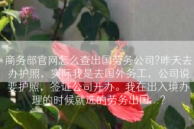商务部官网怎么查出国劳务公司?昨天去办护照，实际我是去国外务工，公司说要护照，签证公司开办。我在出入境办理的时候就选的劳务出国...?