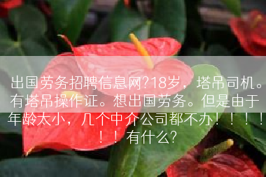 出国劳务招聘信息网?18岁，塔吊司机。有塔吊操作证。想出国劳务。但是由于年龄太小，几个中介公司都不办！！！！！！有什么?