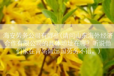 海安劳务公司有哪些(请问山东海外经济合作有限公司的具体地址在哪？听说他们家在青岛做出国劳务不错，)