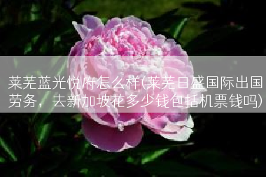 莱芜蓝光悦府怎么样(莱芜日盛国际出国劳务，去新加坡花多少钱包括机票钱吗)