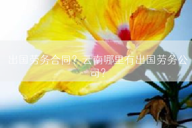 出国劳务合同？云南哪里有出国劳务公司？