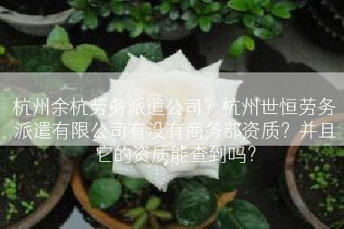 杭州余杭劳务派遣公司？杭州世恒劳务派遣有限公司有没有商务部资质？并且它的资质能查到吗？