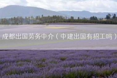 成都出国劳务中介（中建出国有招工吗）