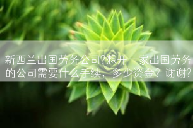 新西兰出国劳务公司?想开一家出国劳务的公司需要什么手续，多少资金？谢谢?