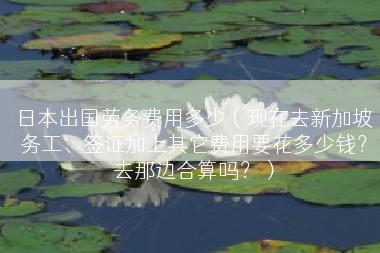 日本出国劳务费用多少（现在去新加坡务工、签证加上其它费用要花多少钱？去那边合算吗？）