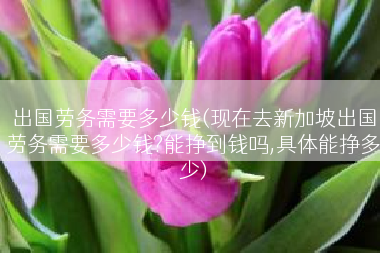 出国劳务需要多少钱(现在去新加坡出国劳务需要多少钱?能挣到钱吗,具体能挣多少)