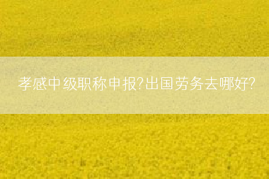 孝感中级职称申报?出国劳务去哪好?