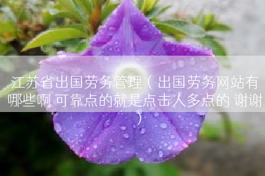 江苏省出国劳务管理（出国劳务网站有哪些啊 可靠点的就是点击人多点的 谢谢）