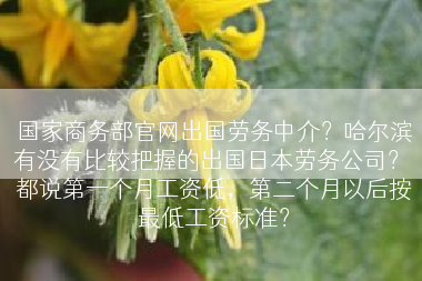 国家商务部官网出国劳务中介？哈尔滨有没有比较把握的出国日本劳务公司？ 都说第一个月工资低，第二个月以后按最低工资标准？