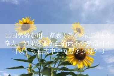 出国劳务费用一览表（想劳务出国去加拿大，如果做服务生的话不会外语可不可以？现在去中介办要多少钱？）
