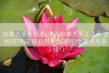 加拿大劳务派遣(出国加拿大务工是合法的吗?有正规公司帮办理吗?全部费用多少钱?)