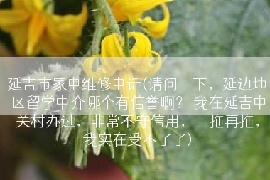 延吉市家电维修电话(请问一下，延边地区留学中介哪个有信誉啊？ 我在延吉中关村办过，非常不守信用，一拖再拖，我实在受不了了)