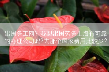 出国务工网？我想出国劳务上海有可靠的办理公司吗?去那个国家费用比较少？