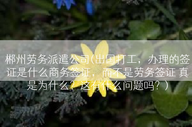 郴州劳务派遣公司(出国打工，办理的签证是什么商务签证，而不是劳务签证 真是为什么？这有什么问题吗？)