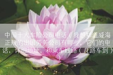中国十大车险公司电话（我想知道威海正规的出国劳务公司有哪些，它们的电话，详细地址，和乘车线路（几路车到））