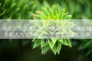 临沂劳务派遣公司?在临沂那一片有比较多的人力劳务中介？主要是兰山区和罗庄区?