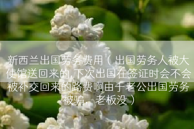 新西兰出国劳务费用（出国劳务人被大使馆送回来的,下次出国在签证时会不会被补交回来的路费啊由于老公出国劳务被骗，老板没）