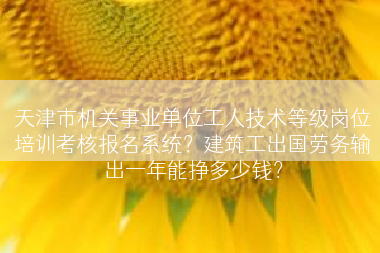 天津市机关事业单位工人技术等级岗位培训考核报名系统？建筑工出国劳务输出一年能挣多少钱？