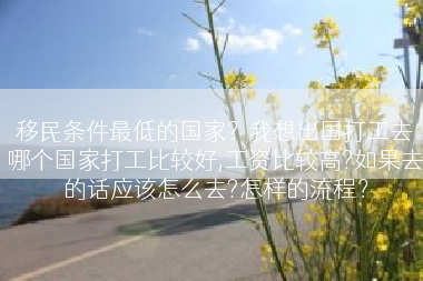 移民条件最低的国家？我想出国打工去哪个国家打工比较好,工资比较高?如果去的话应该怎么去?怎样的流程？