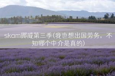 skam挪威第三季(我也想出国劳务，不知哪个中介是真的)